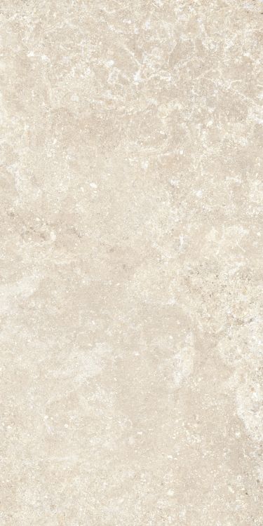 Untamed Wander Warm 12 x 24